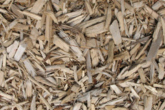 biomass boilers Llanfechell